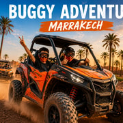 Marrakech Buggy Palmerie and Desert