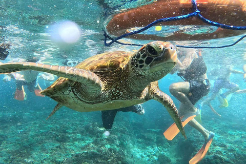 Lembongan: Manta Bay, Turtle Bay, & Gamat Bay Snorkeling