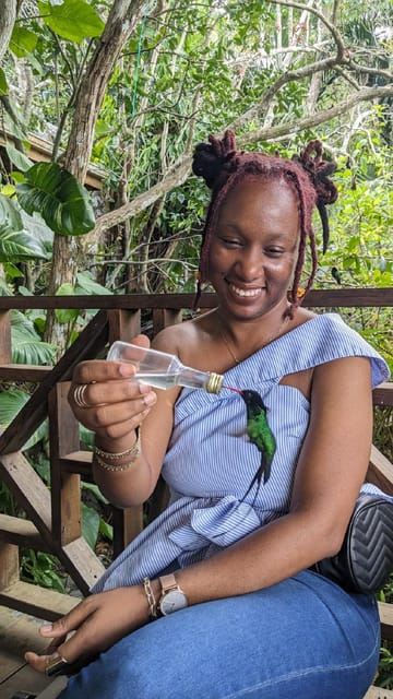 Montego Bay Private Rocklands Bird Sanctuary Trip GetYourGuide montego-bay-private-rocklands-bird-sanctuary-trip-getyourguide