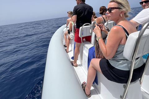 Morro Jable:Dolphin & Whale Watching Boat Tour & Snorkeling