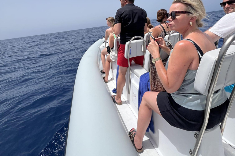 Morro Jable:Dolphin & Whale Watching Boat Tour & Snorkeling