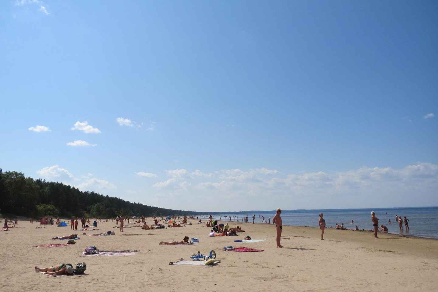 From Tallinn: Narva and Narva-Jõesuu Day Trip with Guide