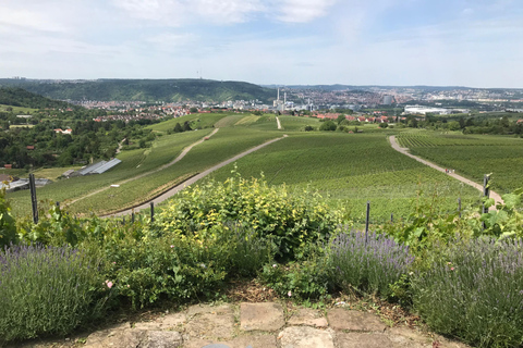 Stuttgart : visite du vignoble en vélo électrique, dégustation comprise