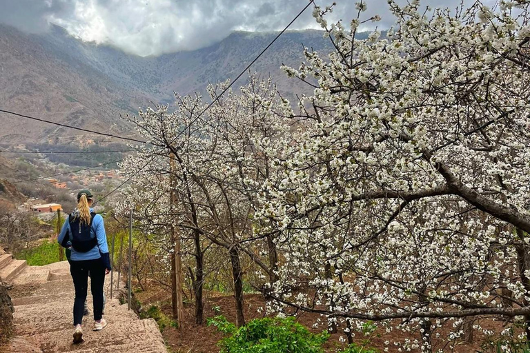 From Marrakech: Tedli Summit Atlas Mountains Day Hike