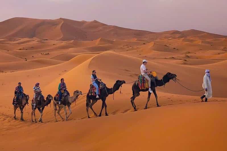 De Marrakech à Fès : excursion de 3 jours via Merzouga et camp de luxe - dromadaire