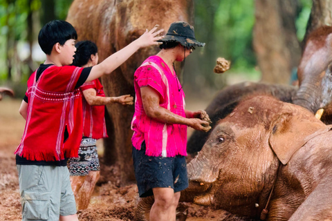 Chiang Mai: Tempel, natuur en cultuur in één dag.Olifantenopvang en Doi Suthep Tour.