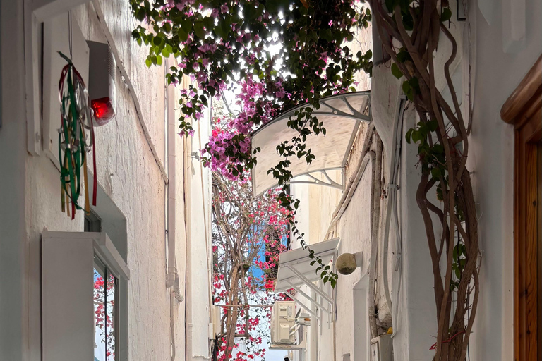 Antiparos Half-Day Tour: Cave, Beach & Old Town