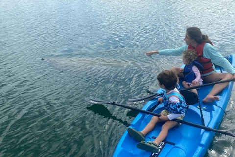 Miami: Alquiler de Paddle Board o Kayak - PADL Beach ClubMiami: Alquiler de Kayak Tándem - PADL Beach Club