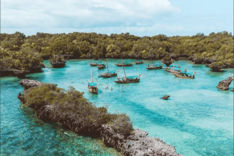 Zanzibar : Safari blue half day trip, snorkeling and lunch