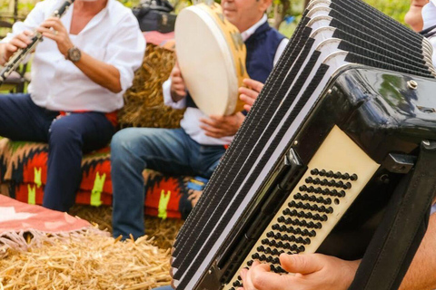 Vlore: Berat Day Trip with Wine Tasting Experience Vlore: Private Berat Day Trip with Wine Tasting Experience