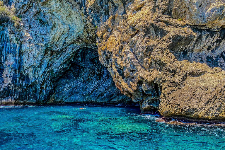 Can Picafort: Dolphin Watching Boat Tour with Swimming&caves Can Picafort: Dolphin Watching Boat Tour with Swimming stop
