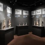 Reykjavik: Biglietto d'ingresso al Museo fallologico islandese