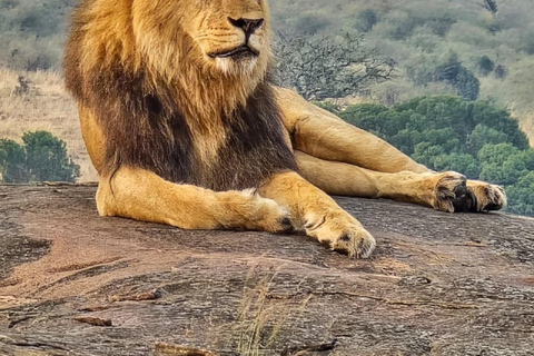 3-Day Maasai Mara Safari