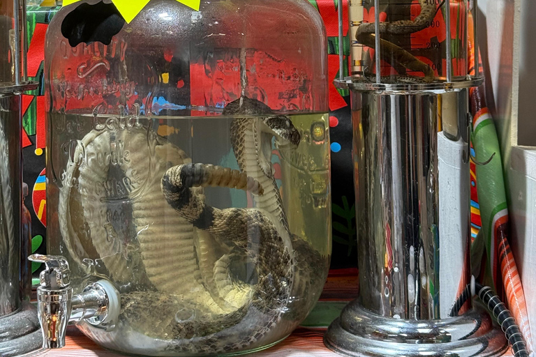 Mexico City: Cable Car, Forest & Centro Bike Tour