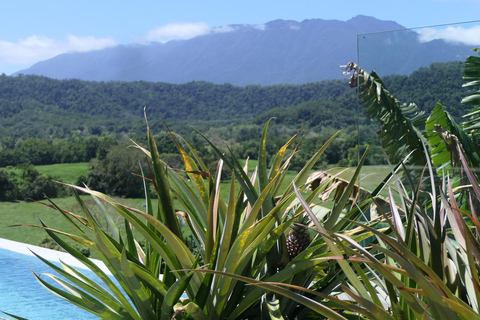 Daintree waters tour, all terrain vehicles and light lunch.