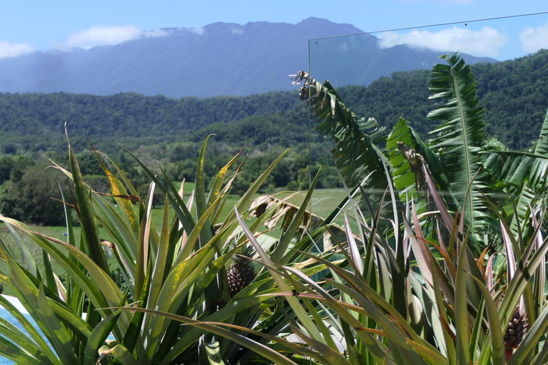 Daintree waters tour, all terrain vehicles and light lunch.