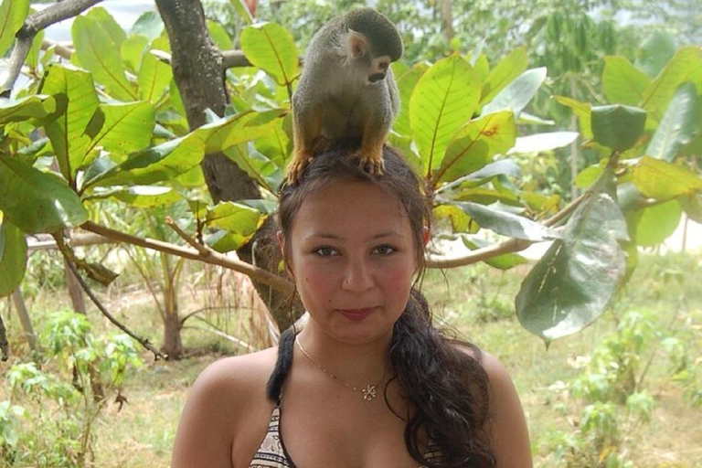 Puerto Plata: apentour, fort en historisch centrumPuerto Plata: Tour langs apen, fort en historisch centrum