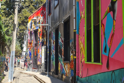 Santiago: Viña del Mar + Casa Blanca Valley + Valparaiso Heritage Tour