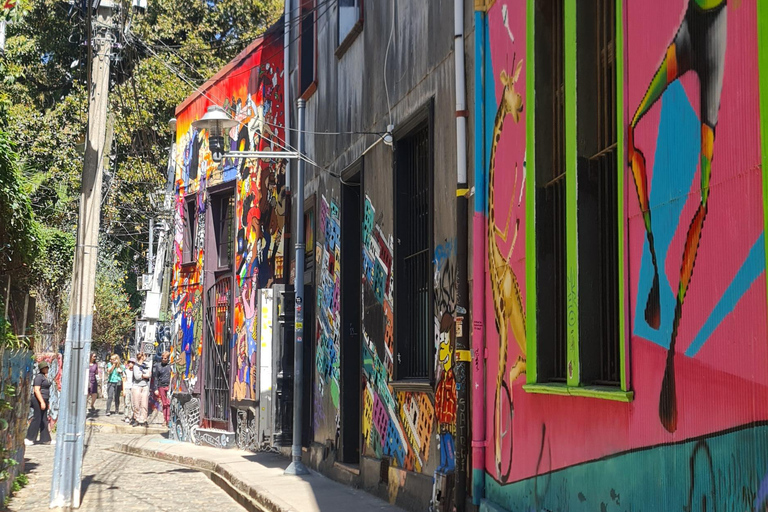 Santiago: Viña del Mar + Casa Blanca Valley + Valparaiso Heritage Tour