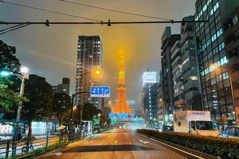 Tokyo: Private Customizable Day Tour with Chauffeur