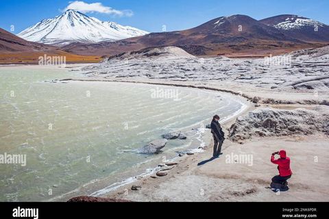 Salt flats, colorful lagoons 3d 2n Tour + Transfer San Pedro