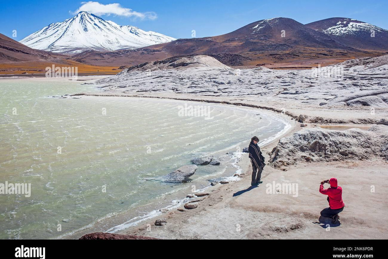 Salt flats, colorful lagoons 3d 2n Tour + Transfer San Pedro