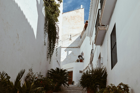 From Malaga & Costa del Sol: 5-Day Andalusia Adventure