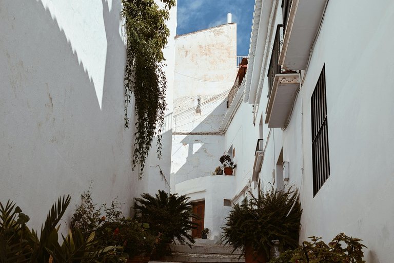 From Malaga & Costa del Sol: 5-Day Andalusia Adventure