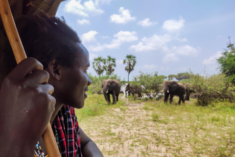 Vanaf Zanzibar: 2 daagse vlucht Nyerere National Park/Selous