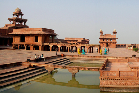 Circuit de 4 jours et 3 nuits à la découverte de la faune et de la flore, avec Agra et Delhi