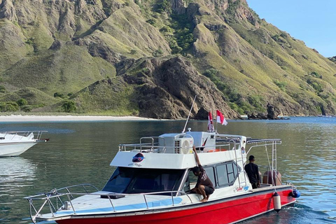 Labuan Bajo: Komodo Park Small Group Boat Tour | 6 Spots