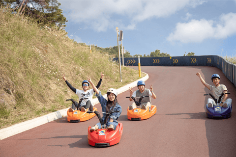 From Seoul: Alpaca Farm with Rail bike/ Luge Racing Railbike Group Tour, meet at Dongdaemun (DDP)