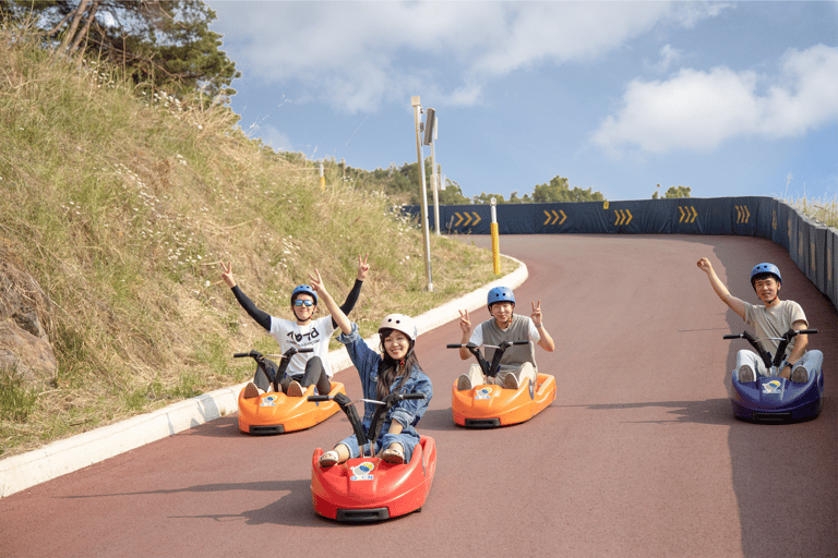 Von Seoul aus: Alpakafarm mit Bahnrad/RodelrennenRailbike-Gruppentour, Treffen in Dongdaemun (DDP)