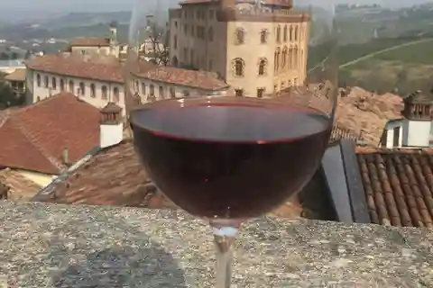 Piemonte: visita di 2 ore alle cantine con degustazione di Barolo