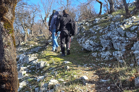 Hike Mount Shpirag and Enjoy Stunning Berat Views