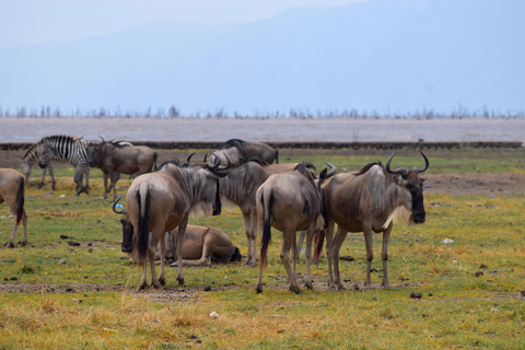 Viaggio di due giorni al Lago Manyara con canoa e passerella tra le cime degli alberiCampeggio a Karatu
