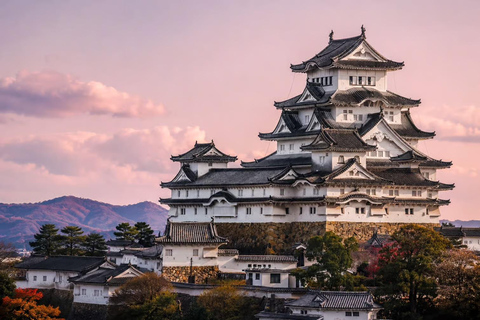 Kyoto / Nara : Kyoto & Nara Private Tour with Driver / Guide Kyoto : Kyoto Private Tour Up To 3 Persons
