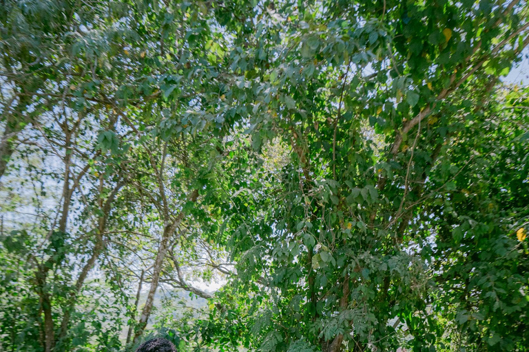 Full-day tour on off-road motorcycles