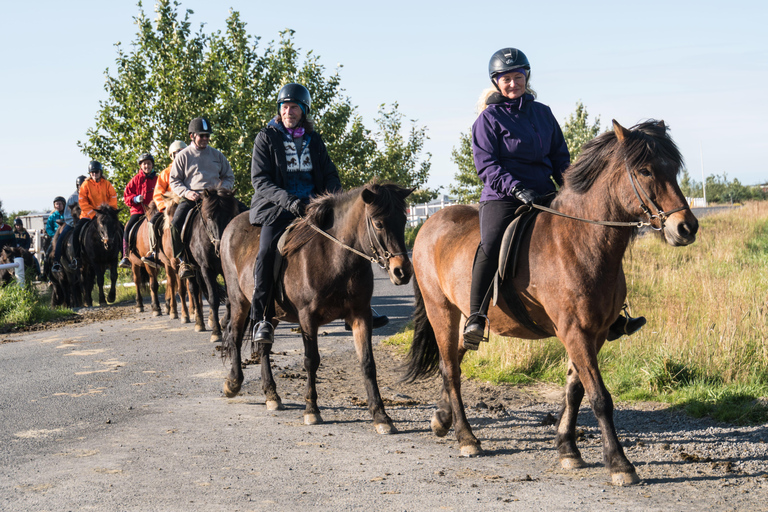 Hveragerdi : La randonnée équestre de SiggiHveragerdi : Le tour de Siggi 1,5-2 heures de visite