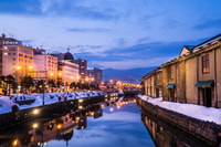 From Sapporo, 10-hour Customized Private Tour to Otaru - Housity