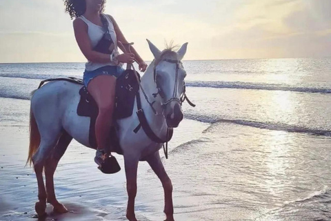 Cartagena : Excursion à cheval sur la plageCarthagène : Randonnée à cheval sur la plage