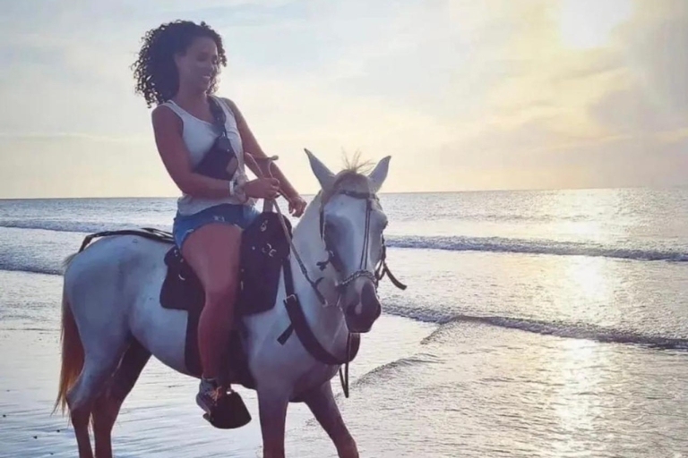 Cartagena: Horseback Ridding Excursion on the Beach Cartagena: Horseback Ridding on the Beach
