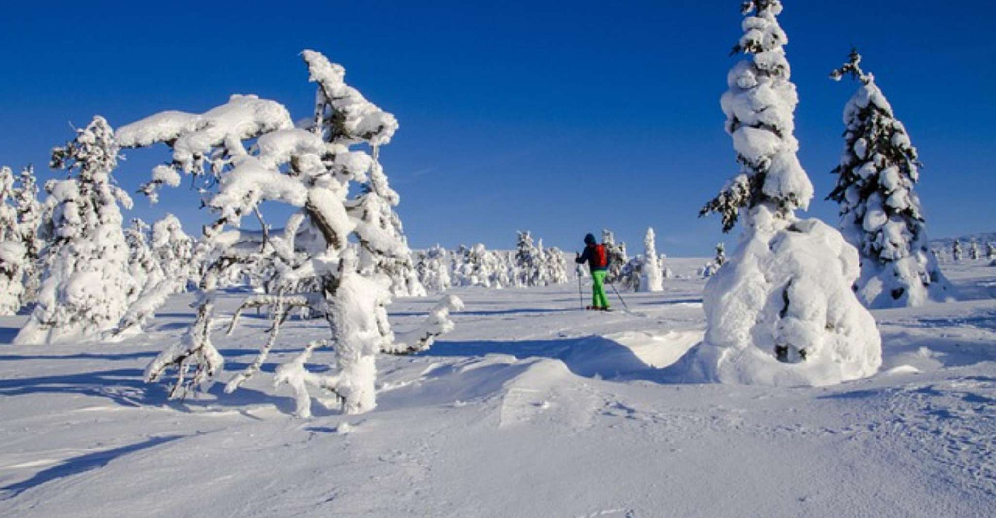 Trappeur's Evening , Snowshoeing night trip and local dinner - Housity