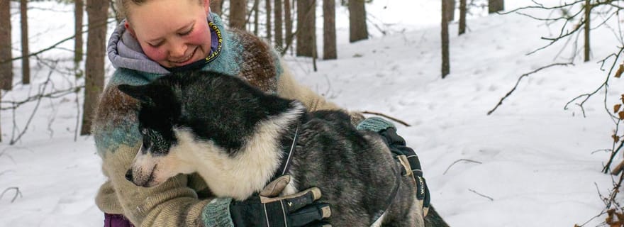 Ivalo - Saariselkä : promenade en traîneau à chiens dans la nature sauvage