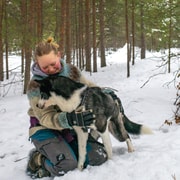 Ivalo – Saariselkä : promenade avec des huskies dans la nature arctique