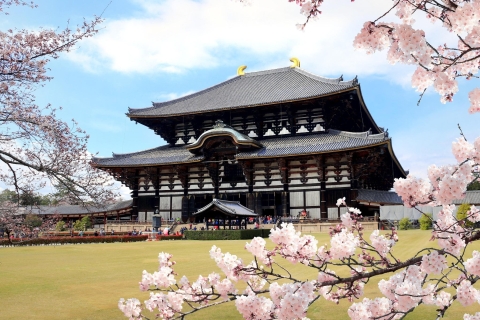 Depuis Kyoto : Excursion guidée d'une journée à Kyoto et Nara avec déjeunerVisite avec déjeuner de bœuf Shabu Shabu horaire 2024