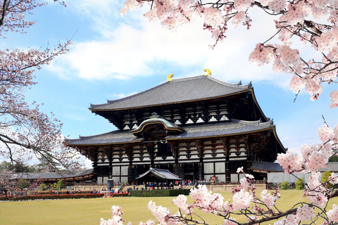 Från Kyoto: Guidad dagsutflykt till Kyoto och Nara med lunch