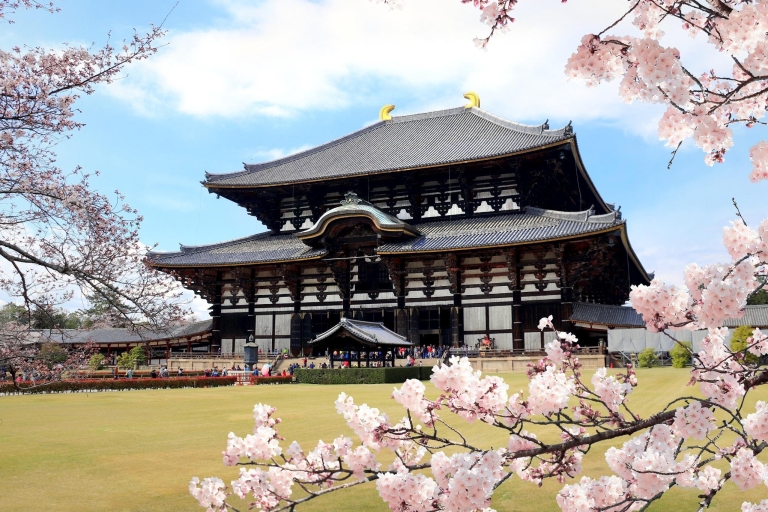 From Kyoto: Guided Day Trip to Kyoto and Nara with Lunch Tour with Beef Shabu Shabu Lunch schedule 2024