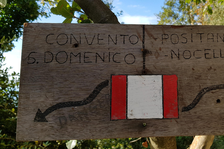 De Sorrento: Caminhada guiada pelo Caminho dos Deuses com traslados