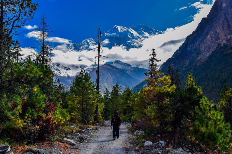 Trekking wokół Annapurny – 14 dni